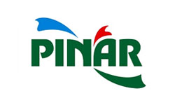 Pınar